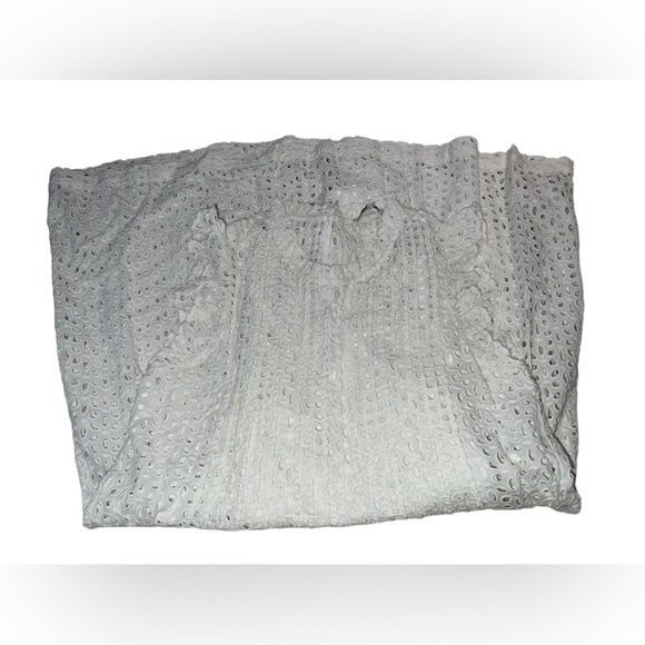 NWT Madewell Eyelet Ruffle-Sleeve Pintuck Mini Dress - Picture 16 of 16